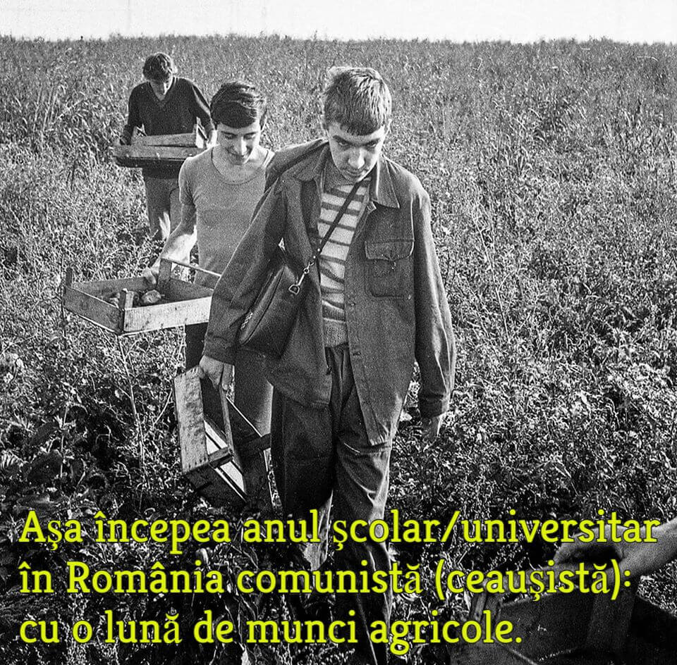 Elevi la munci agricole in dictatura comunista (ceausista)