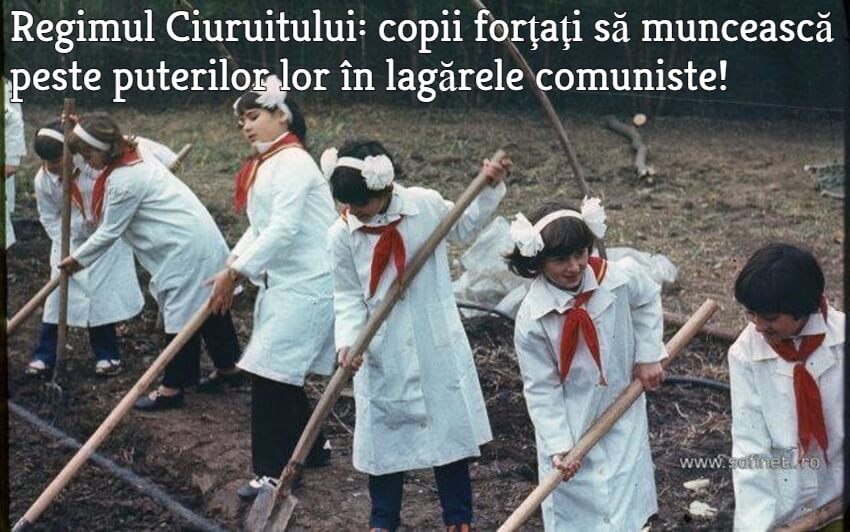 Regimul dictatorului criminal Ceauşescu: copii puşi să muncească peste puterile lor