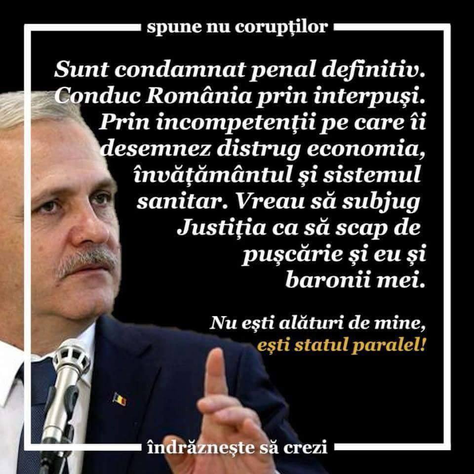 Borfasul Liviu Dragnea (PSD)