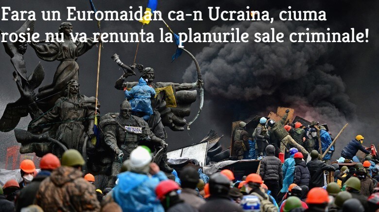 Euromaidan, Ucraina