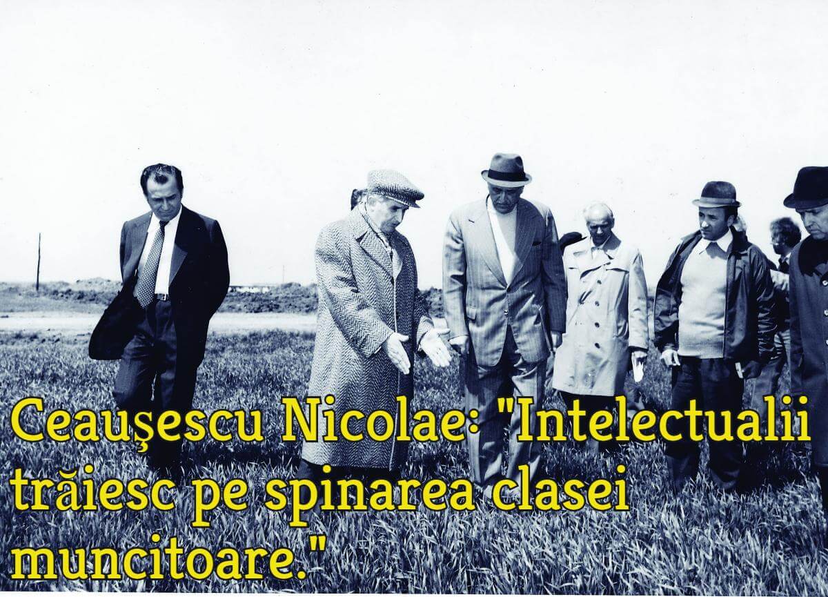 De la stanga: Ion Iliescu si Nicolae Ceausescu