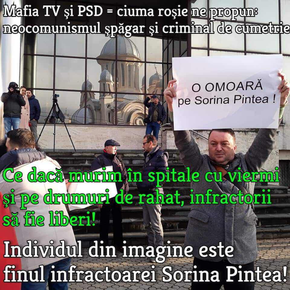 Sorina Pintea, PSD