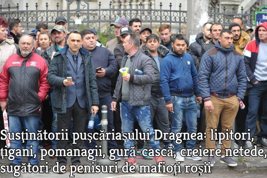 Sustinatorii mafiotului Liviu Dragnea