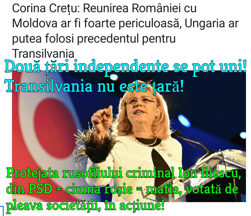 Corina Cretu
