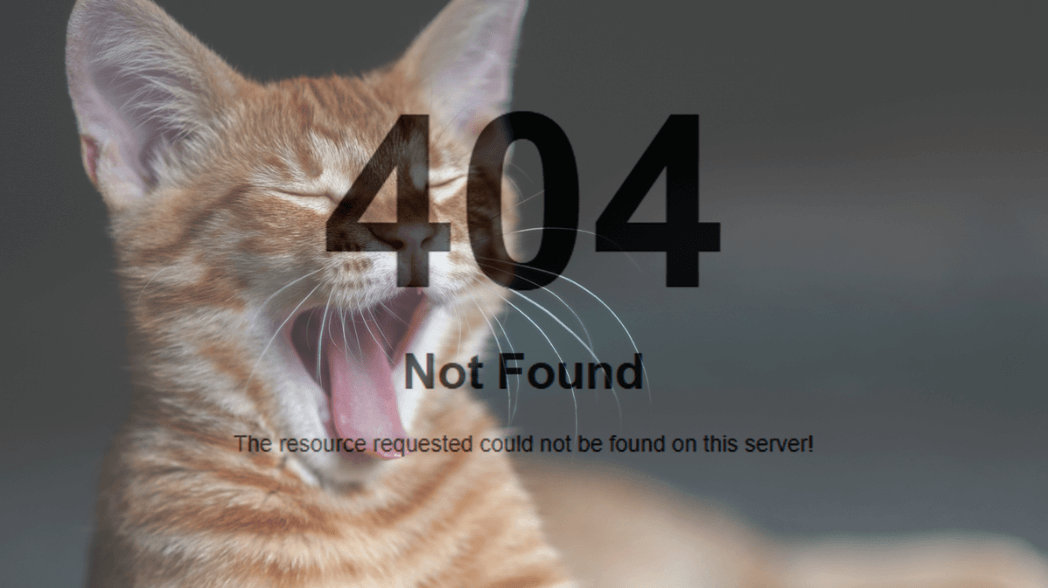 Pisica 404
