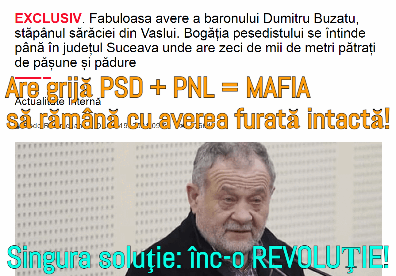 Averea baronului PSD Dumitru Buzatu